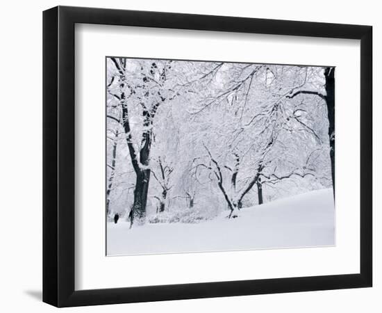 Central Park Covered in Snow, NYC-Shmuel Thaler-Framed Photographic Print