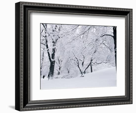 Central Park Covered in Snow, NYC-Shmuel Thaler-Framed Photographic Print