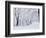 Central Park Covered in Snow, NYC-Shmuel Thaler-Framed Photographic Print