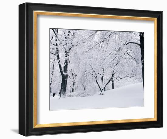 Central Park Covered in Snow, NYC-Shmuel Thaler-Framed Photographic Print