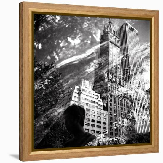 Central Park Double-Evan Morris Cohen-Framed Premier Image Canvas