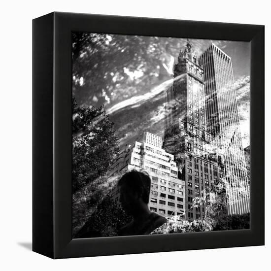 Central Park Double-Evan Morris Cohen-Framed Premier Image Canvas