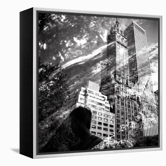 Central Park Double-Evan Morris Cohen-Framed Premier Image Canvas