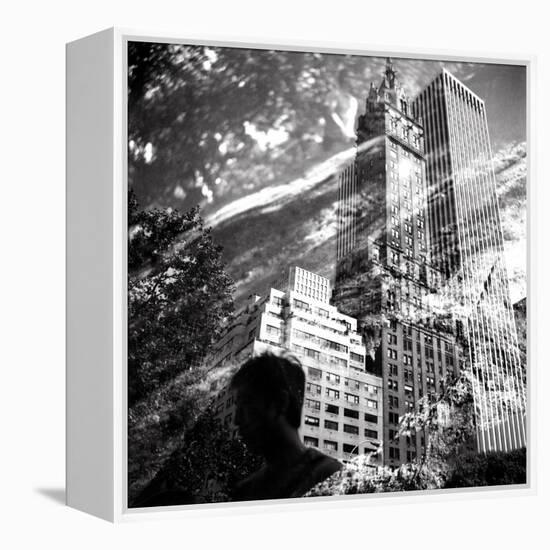 Central Park Double-Evan Morris Cohen-Framed Premier Image Canvas