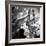 Central Park Double-Evan Morris Cohen-Framed Photographic Print