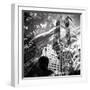 Central Park Double-Evan Morris Cohen-Framed Photographic Print