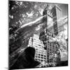 Central Park Double-Evan Morris Cohen-Mounted Photographic Print