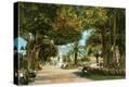 Stretched Canvas Print