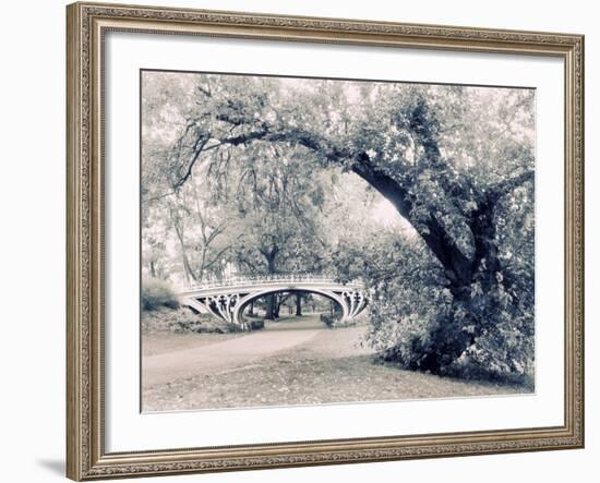 Central Park Gothic-Jessica Jenney-Framed Photographic Print