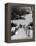 Central Park in Winter, c.1953-64-Nat Herz-Framed Premier Image Canvas