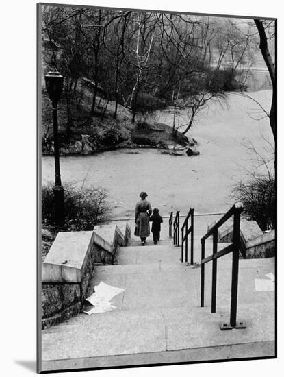 Central Park in Winter, c.1953-64-Nat Herz-Mounted Photographic Print