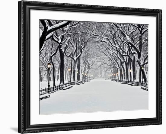 Central Park in Winter-Rudy Sulgan-Framed Art Print