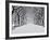 Central Park in Winter-Rudy Sulgan-Framed Art Print