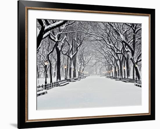 Central Park in Winter-Rudy Sulgan-Framed Art Print