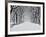 Central Park in Winter-Rudy Sulgan-Framed Art Print