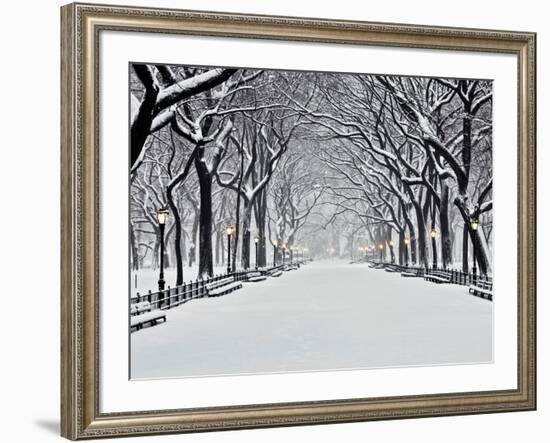 Central Park in Winter-Rudy Sulgan-Framed Art Print