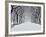 Central Park in Winter-Rudy Sulgan-Framed Art Print