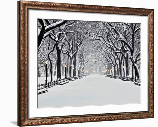 Central Park in Winter-Rudy Sulgan-Framed Art Print