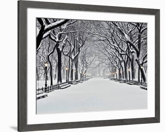 Central Park in Winter-Rudy Sulgan-Framed Art Print