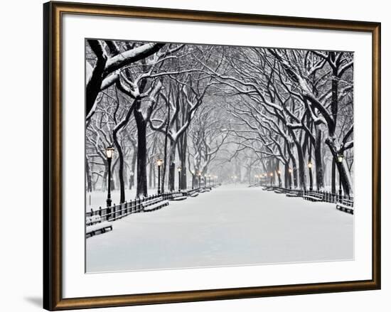 Central Park in Winter-Rudy Sulgan-Framed Art Print