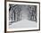 Central Park in Winter-Rudy Sulgan-Framed Art Print