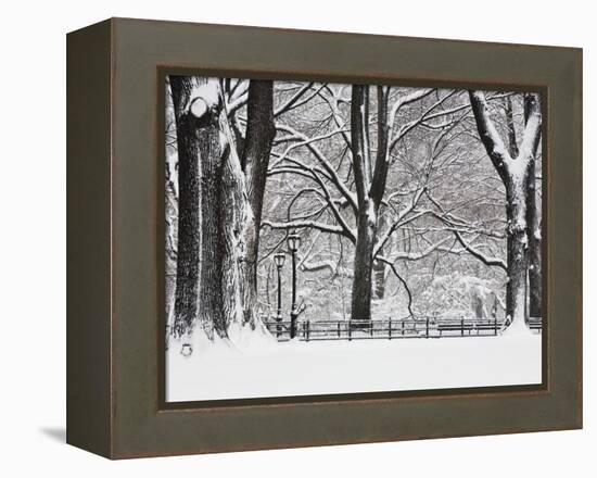 Central Park in Winter-Rudy Sulgan-Framed Premier Image Canvas