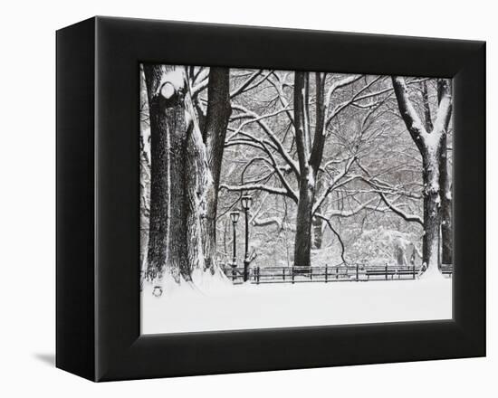 Central Park in Winter-Rudy Sulgan-Framed Premier Image Canvas