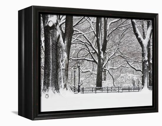 Central Park in Winter-Rudy Sulgan-Framed Premier Image Canvas