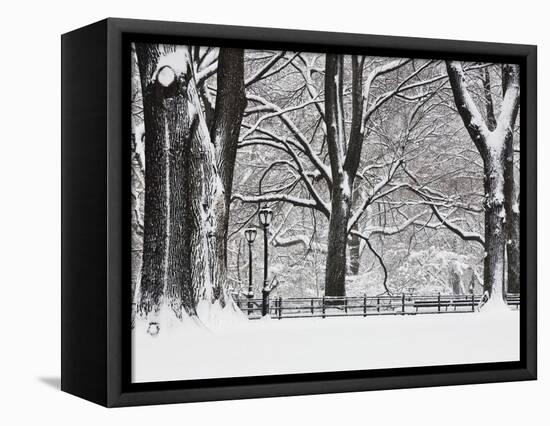 Central Park in Winter-Rudy Sulgan-Framed Premier Image Canvas