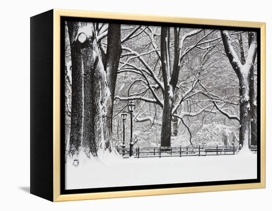 Central Park in Winter-Rudy Sulgan-Framed Premier Image Canvas