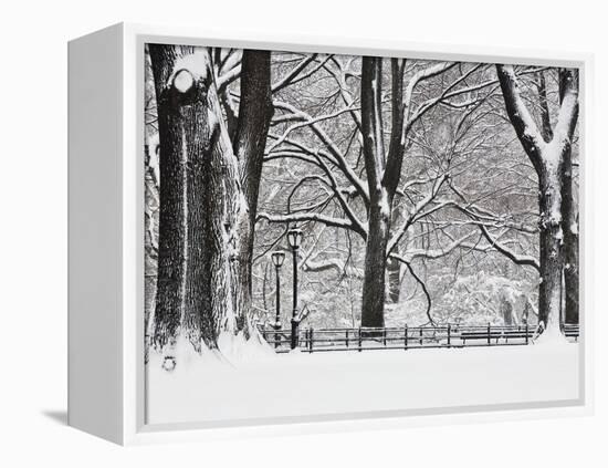 Central Park in Winter-Rudy Sulgan-Framed Premier Image Canvas