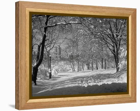Central Park in Winter-Bettmann-Framed Premier Image Canvas