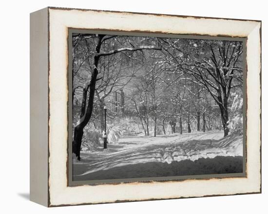 Central Park in Winter-Bettmann-Framed Premier Image Canvas