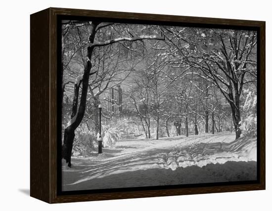 Central Park in Winter-Bettmann-Framed Premier Image Canvas