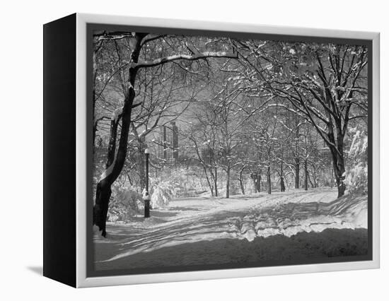 Central Park in Winter-Bettmann-Framed Premier Image Canvas