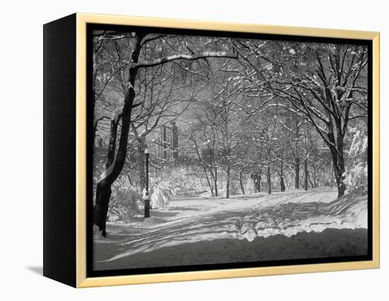 Central Park in Winter-Bettmann-Framed Premier Image Canvas