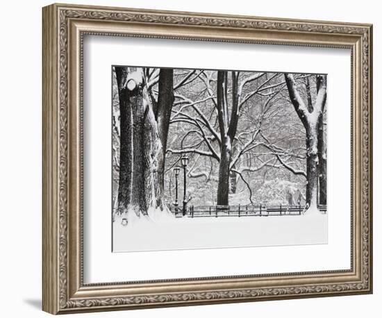 Central Park in Winter-Rudy Sulgan-Framed Photographic Print