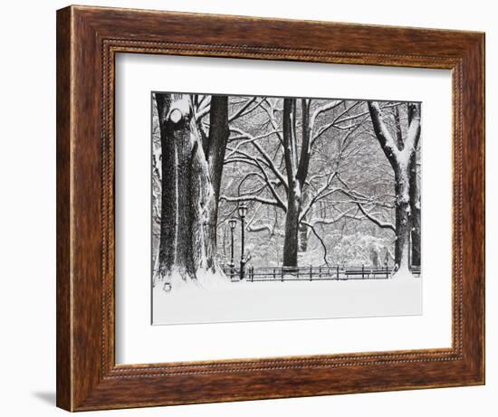 Central Park in Winter-Rudy Sulgan-Framed Photographic Print