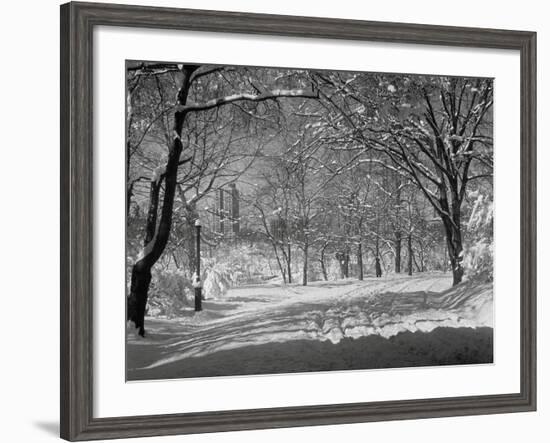 Central Park in Winter-Bettmann-Framed Photographic Print