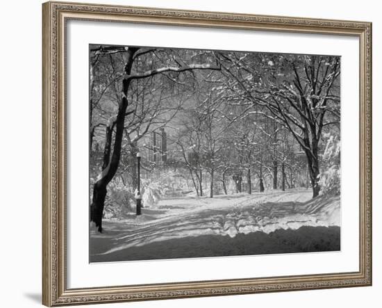 Central Park in Winter-Bettmann-Framed Photographic Print