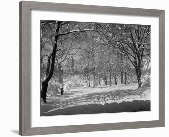 Central Park in Winter-Bettmann-Framed Photographic Print