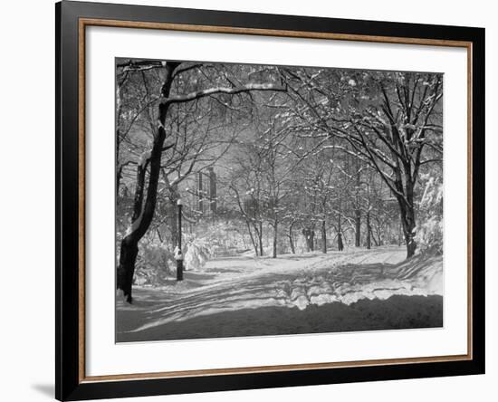 Central Park in Winter-Bettmann-Framed Photographic Print