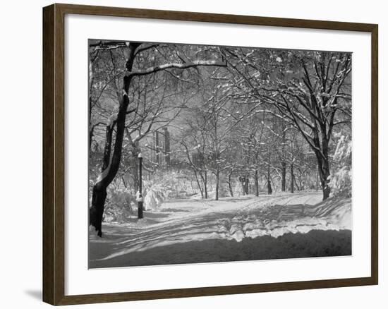 Central Park in Winter-Bettmann-Framed Photographic Print