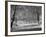 Central Park in Winter-Bettmann-Framed Photographic Print