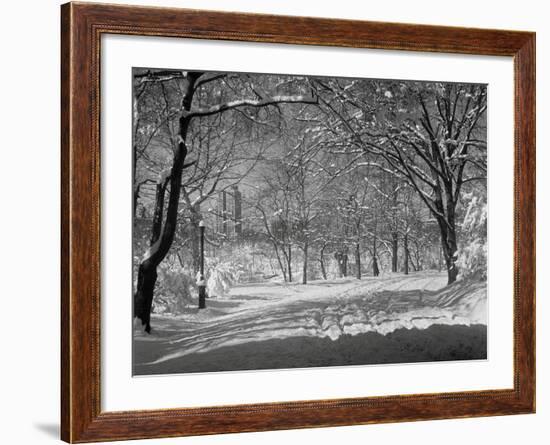 Central Park in Winter-Bettmann-Framed Photographic Print