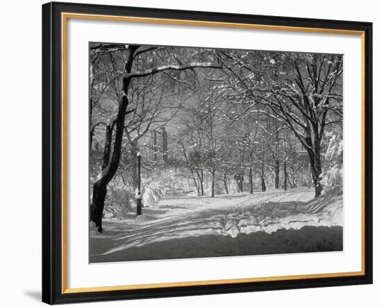 Central Park in Winter-Bettmann-Framed Photographic Print