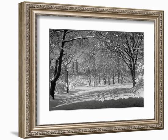 Central Park in Winter-Bettmann-Framed Photographic Print