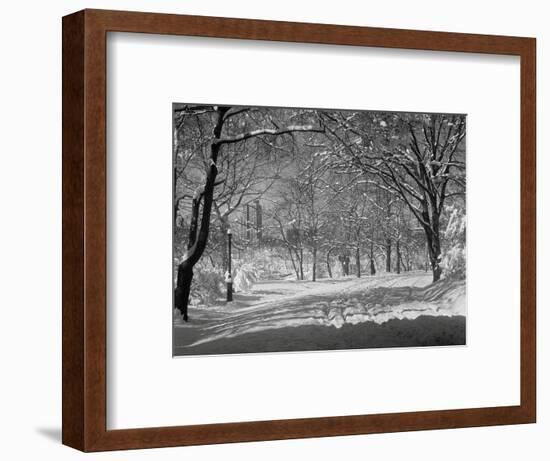 Central Park in Winter-Bettmann-Framed Photographic Print