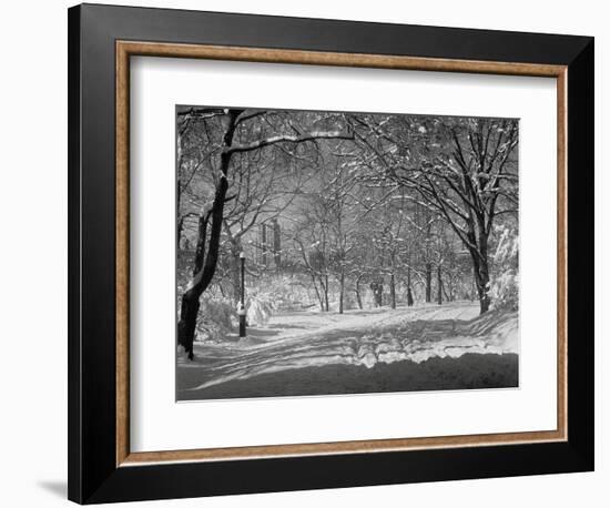 Central Park in Winter-Bettmann-Framed Photographic Print