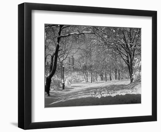 Central Park in Winter-Bettmann-Framed Photographic Print